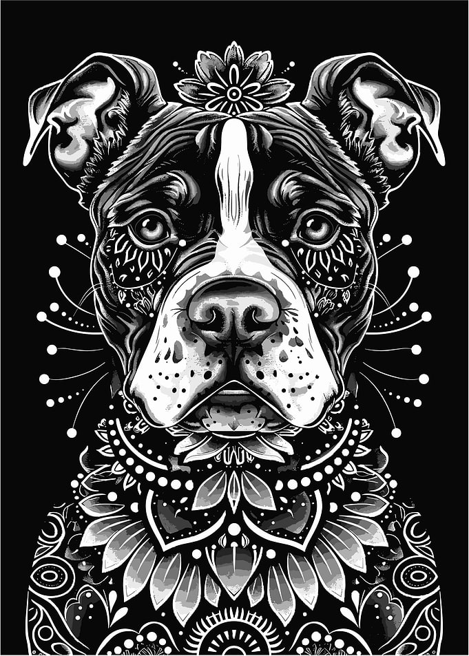 Mandala Pitbull