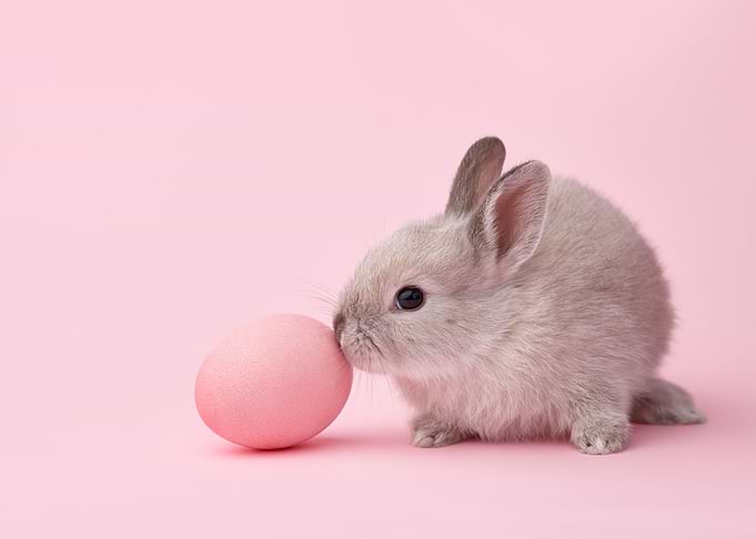 Pink Easter Bunny