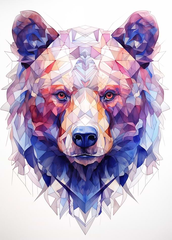 Bear Geometry