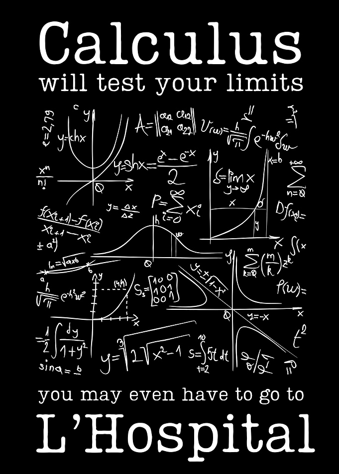 Funny Math Humor Calculus