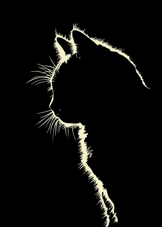 Cat Silhouette