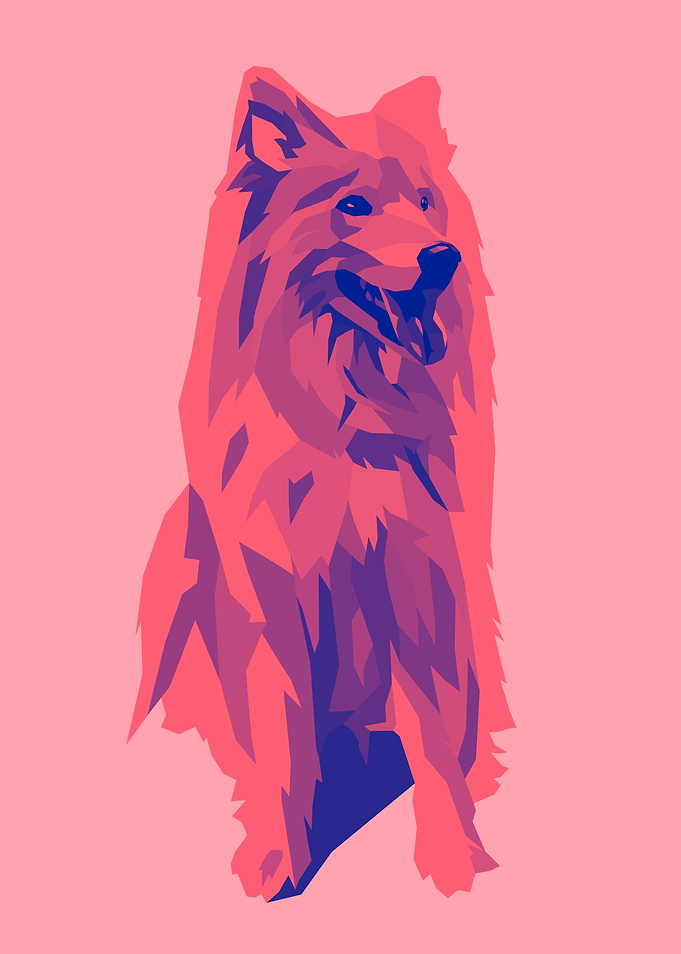 Dog Pop Art