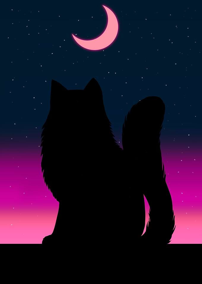 pink moon cat