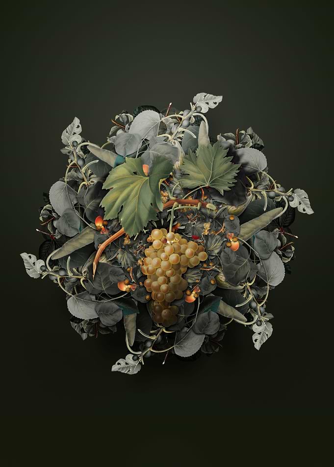 Grape Vine Fruit Wreath
