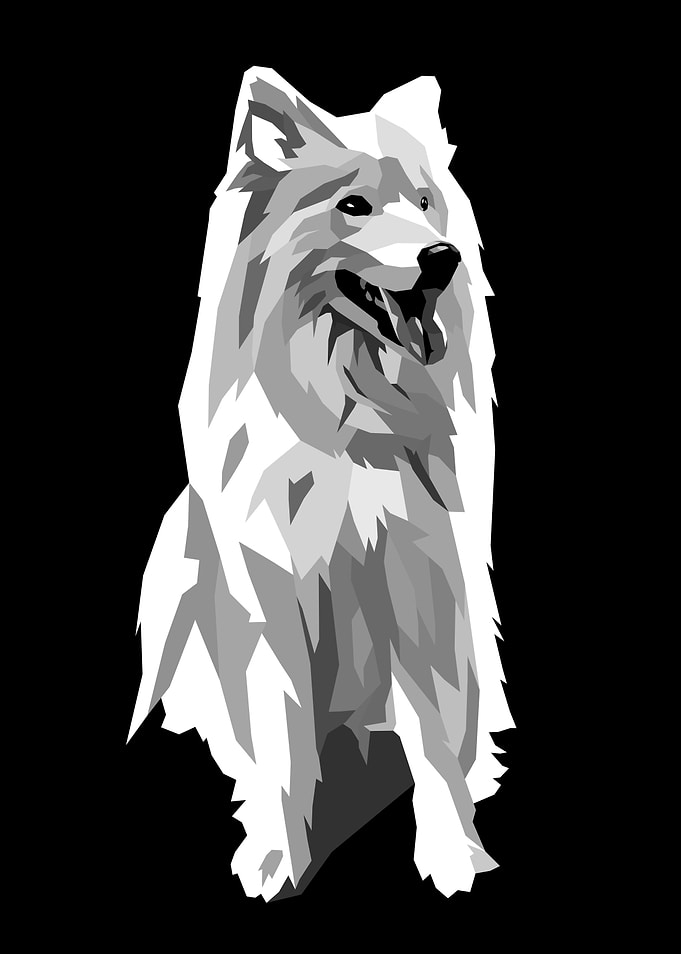 Dog Pop Art