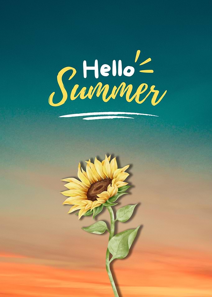Summer Sunflower Cute Flow