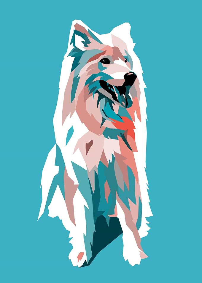 Dog Pop Art