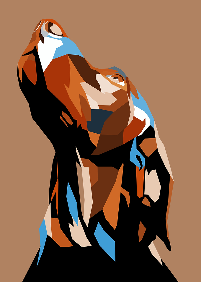 Dog Pop Art