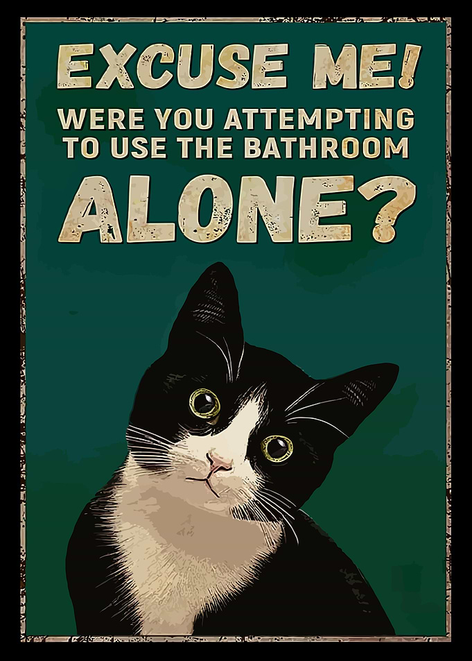 Cat Excuse Me