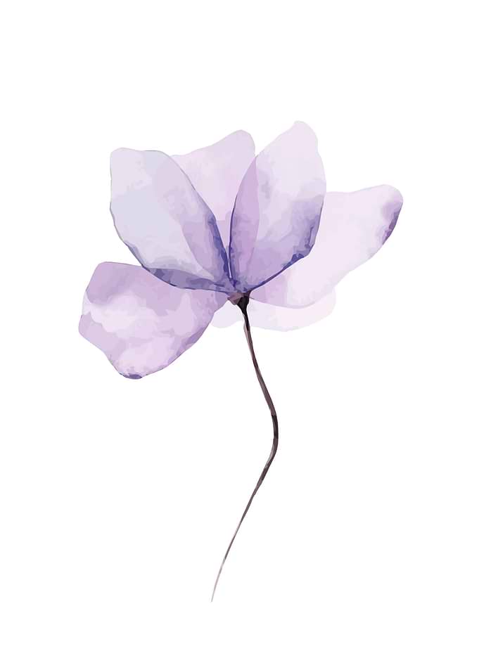 Flower Floral Decor Pastel