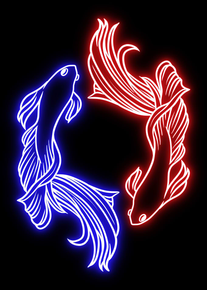 Betta fish neon
