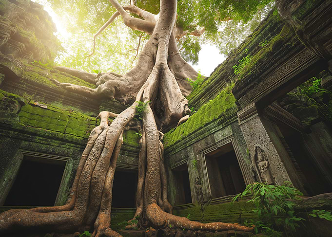 Majesty in Stone ancient