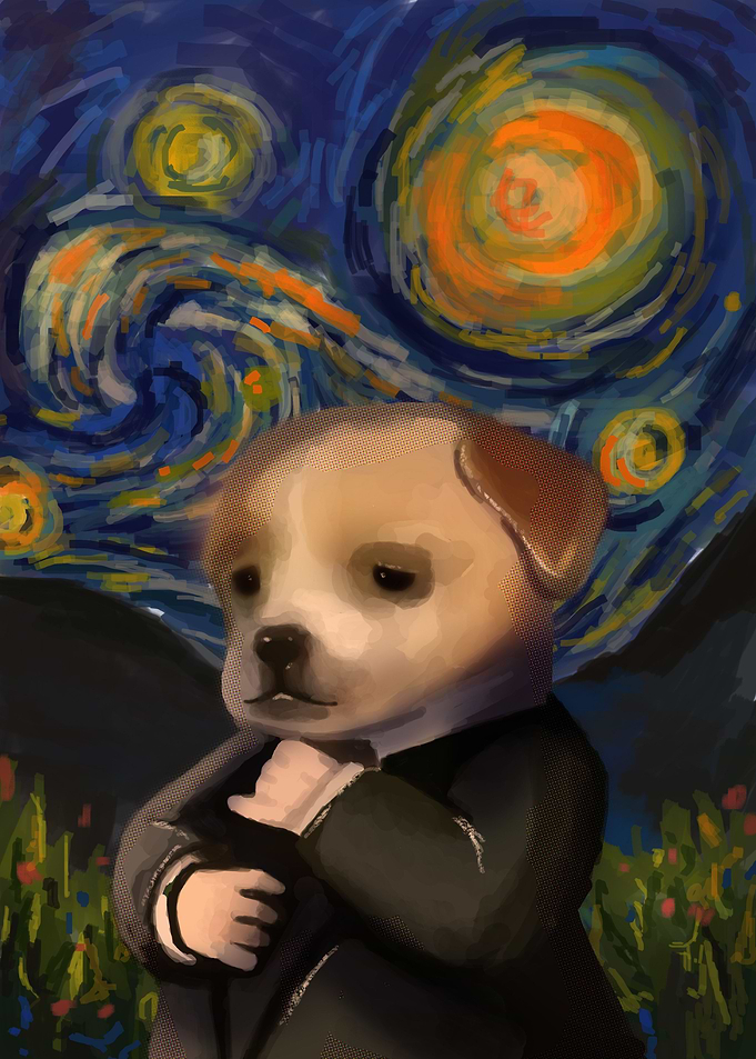 dog in starry night
