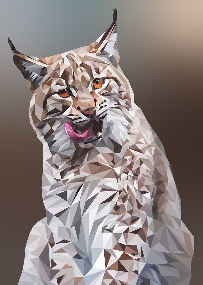 Lynx