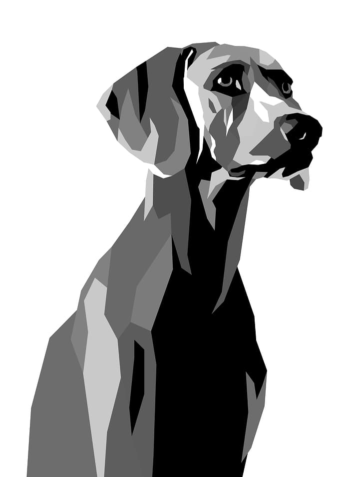 Dog Pop Art