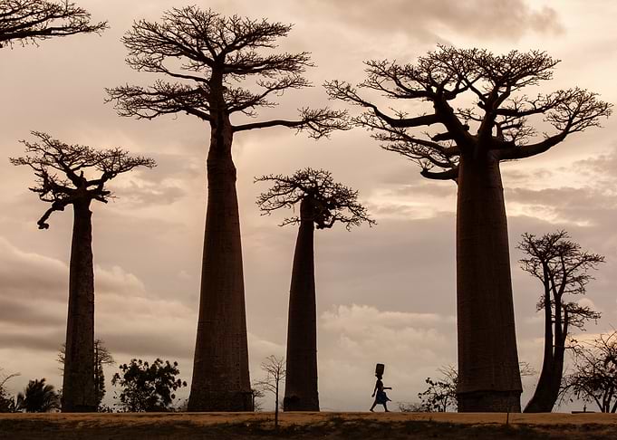 Madagascar