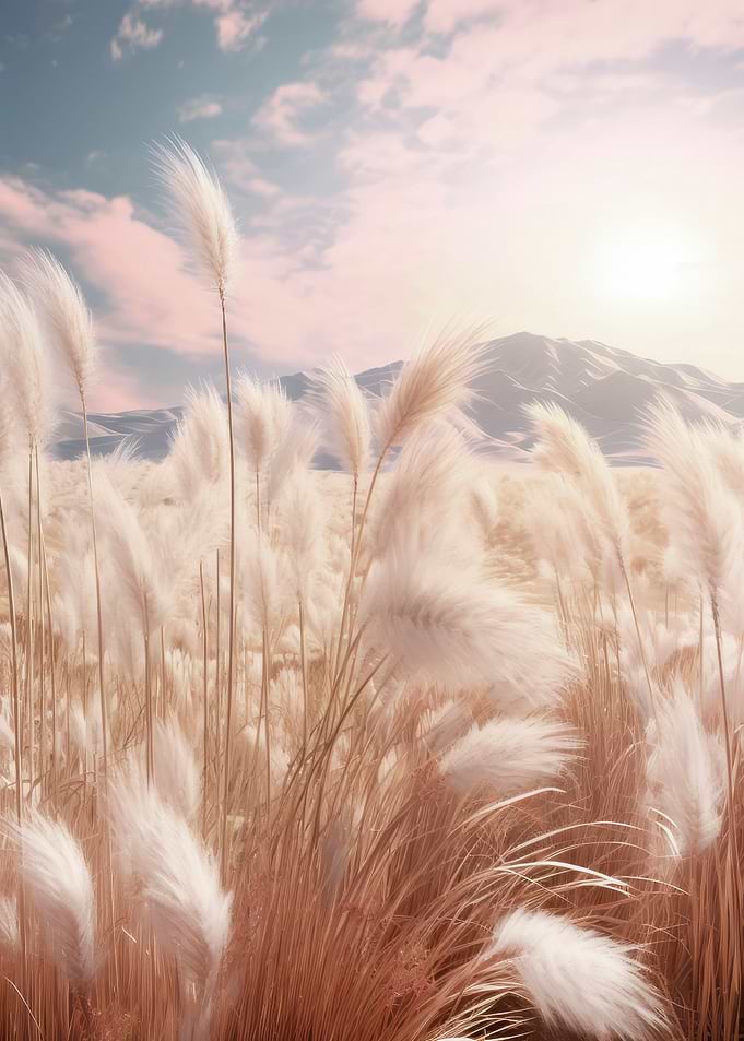Pampas grass in sunset