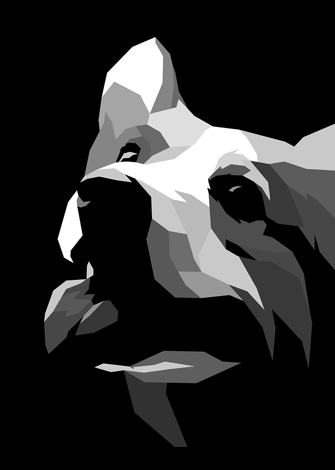 Dog Pop Art