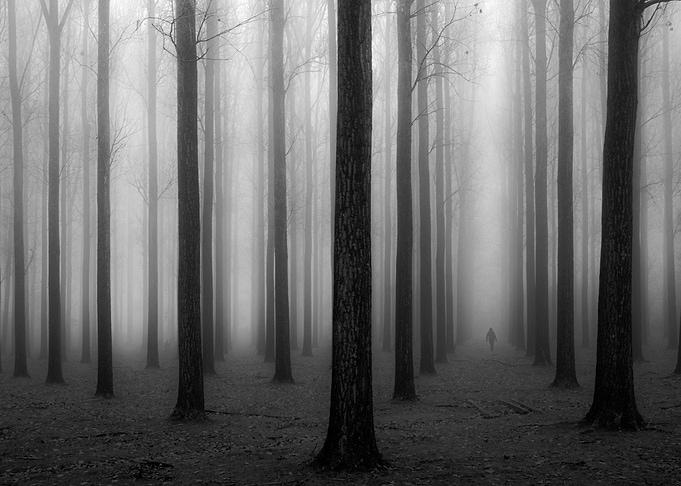 In a Fog