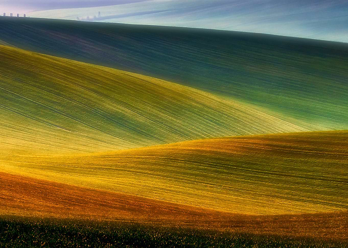 Spring fields