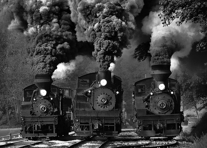 Train Race in BW