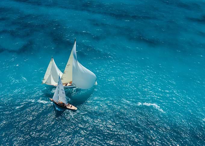 Croisement bleu