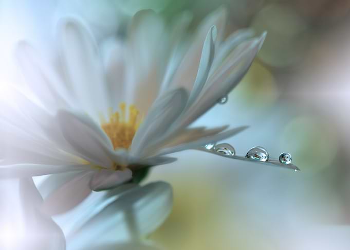 Light touch