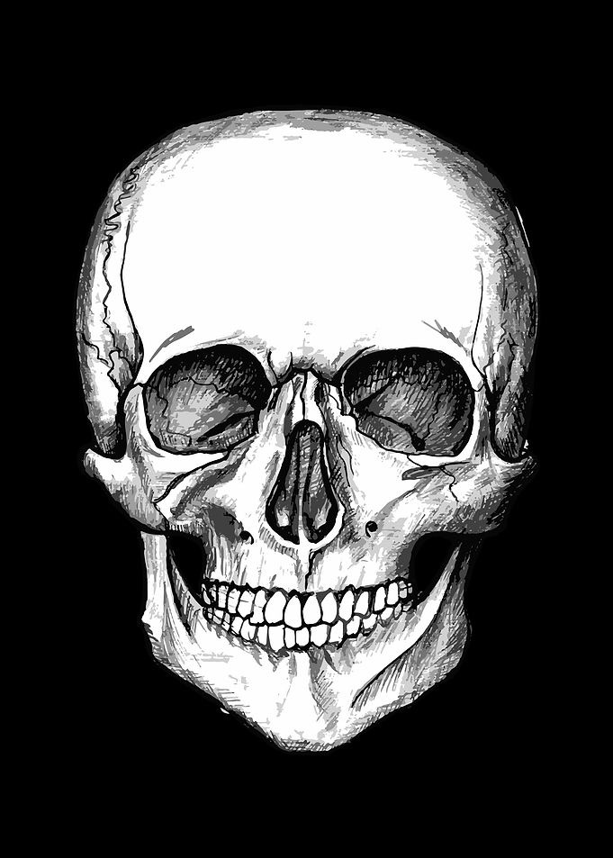 Happy Skull Bones