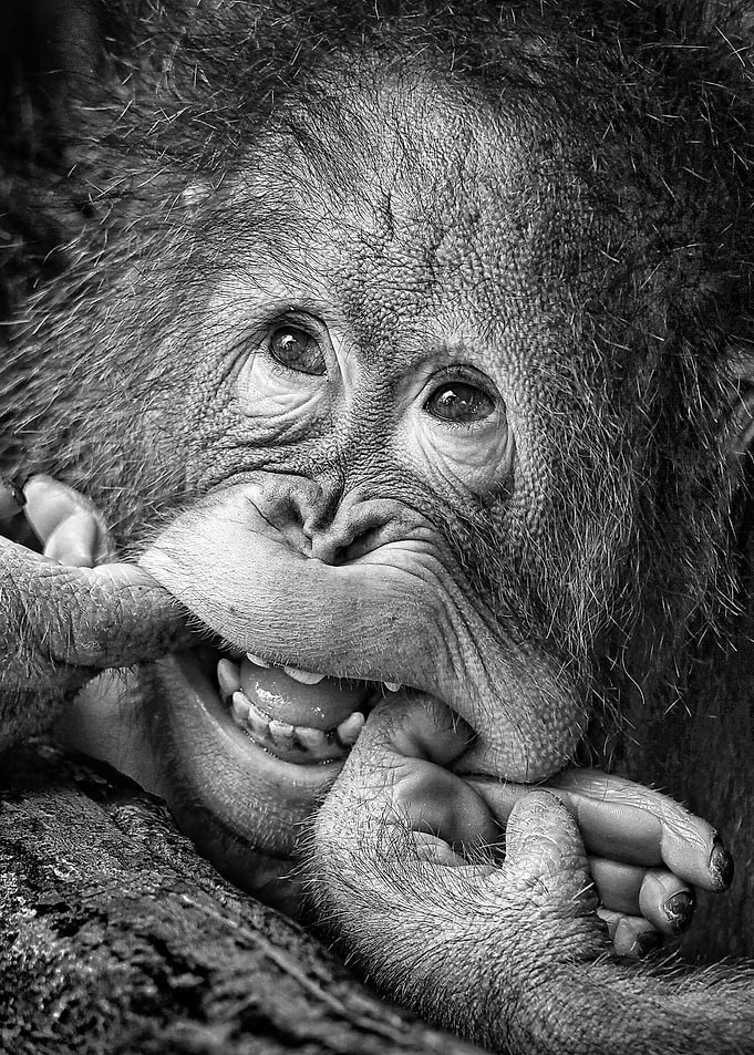Big Smileplease