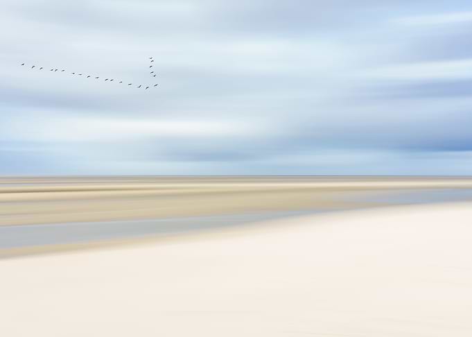 at the ocean III