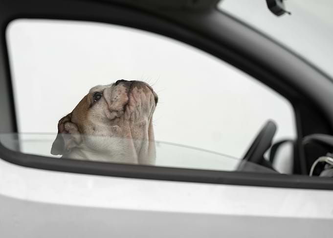 Busted! For speeding
