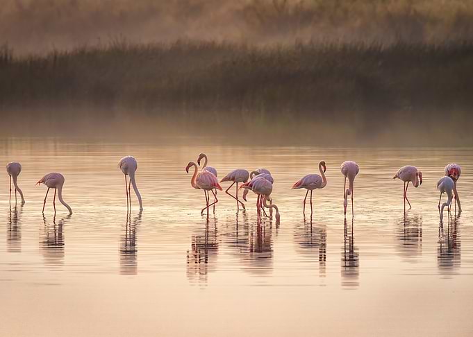 Photographic ode to Monet