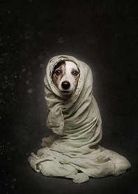 Wrapped