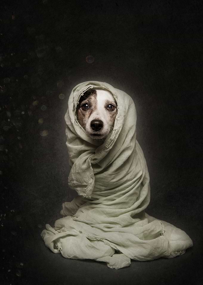 Wrapped