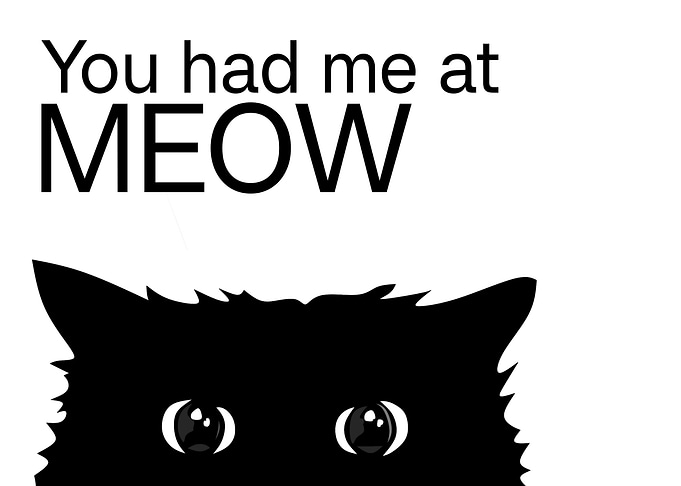 Cat cute