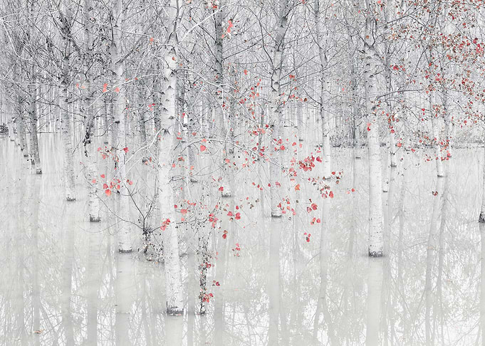 Red a white