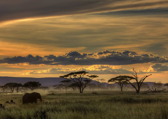 Africa