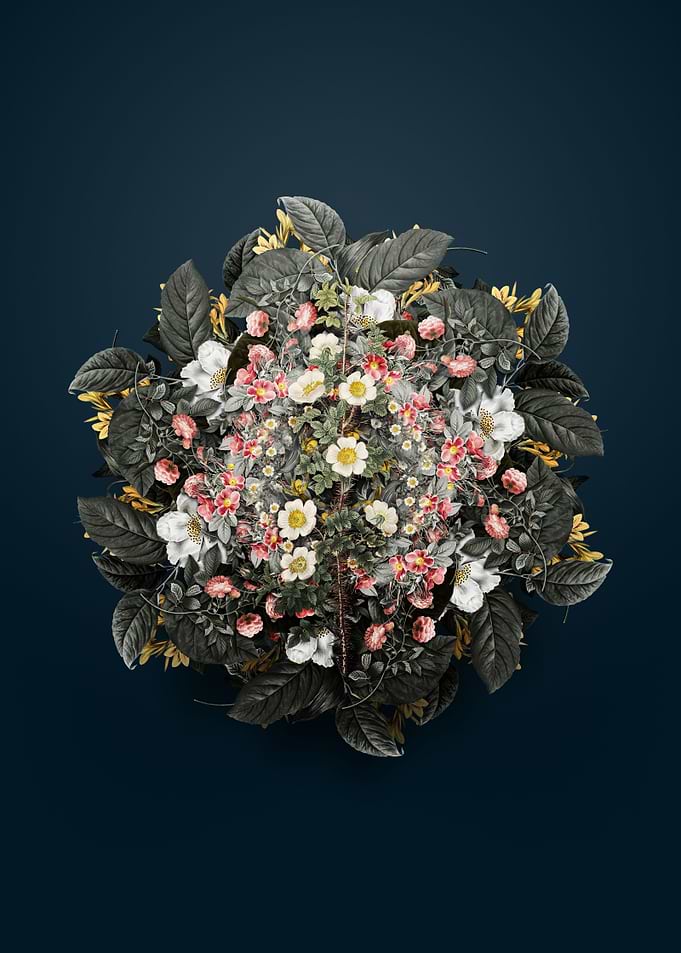 Scotch Rose Bloom Wreath
