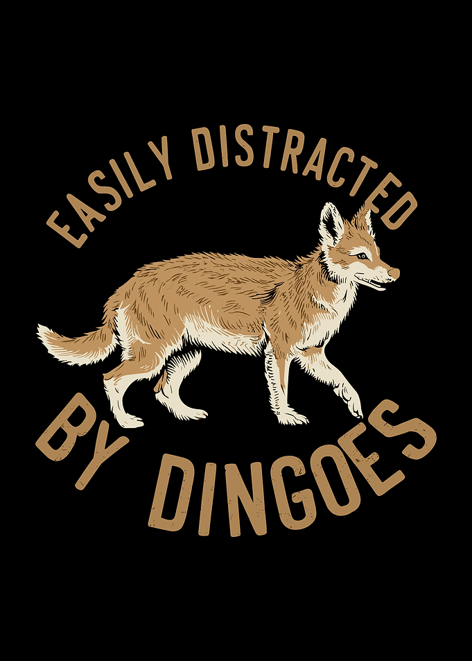 Australian Dingo