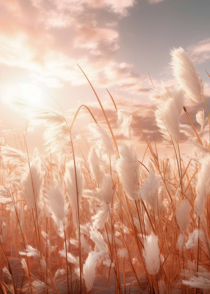 Pampas grass