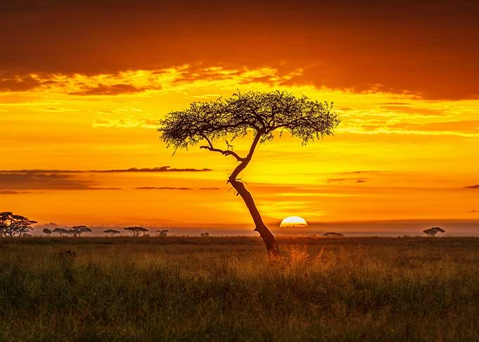 Primordial Africa