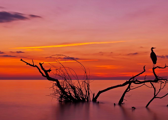 Quiet evening
