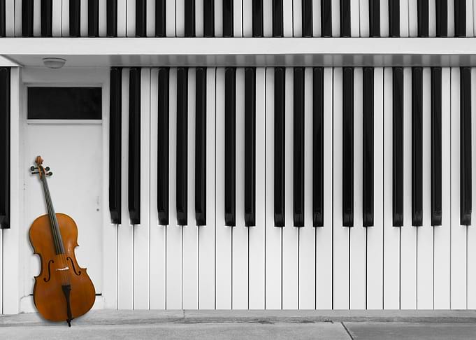 Cello at the Door