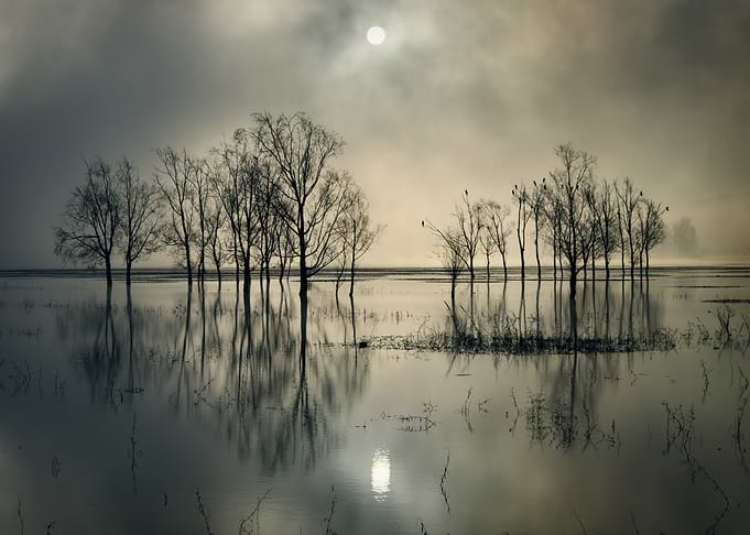 Lake's Secret
