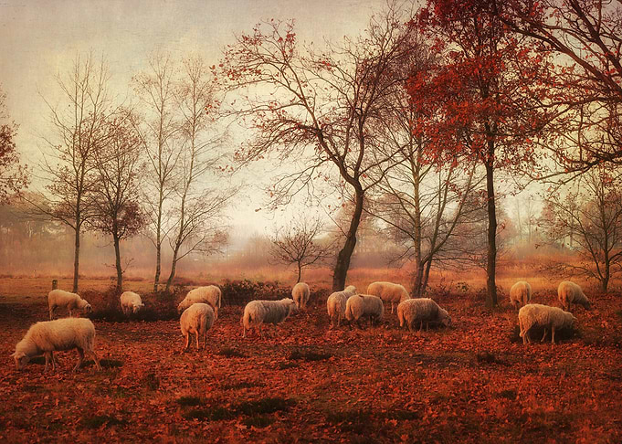 Last days of autumn