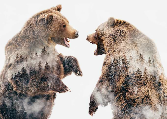 Wild Conflicts