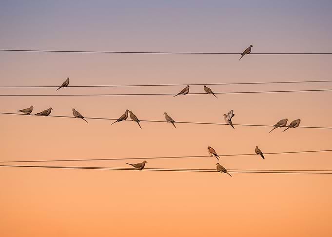Music of Light