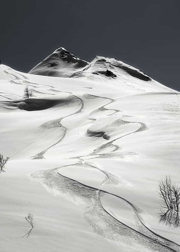 freeride