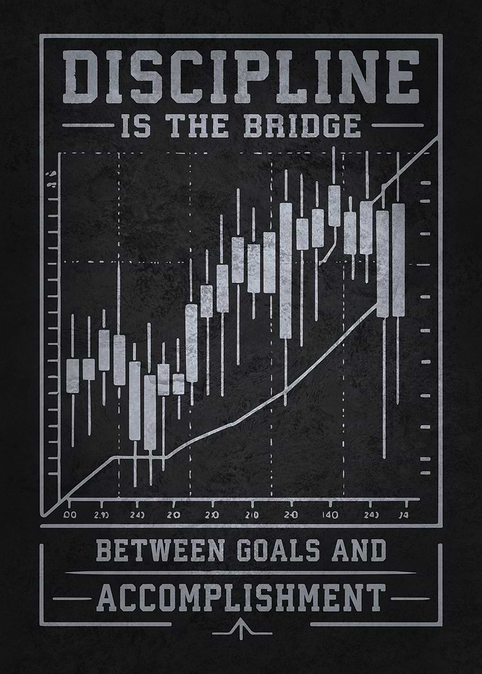 Discipline Is The Bridge