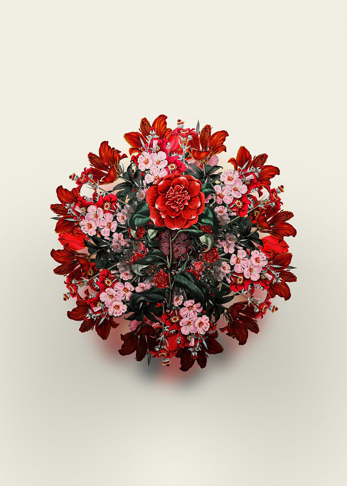 Reevess Crimson Camellia